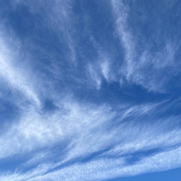 Meet your Posher, Emmanuel - Picture 1 of 1